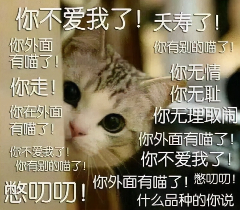 圣母白莲花不是男人最爱！男人不会告诉你，会“作”的女人更好命