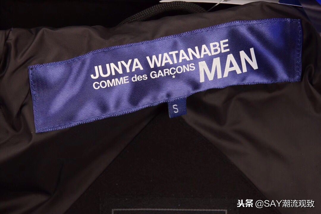 大鹅怎么出名的,今年为什么流行大鹅羽绒服