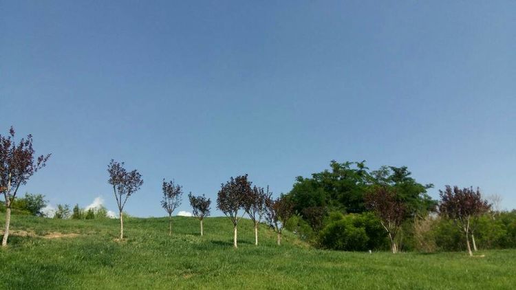 学乒乓球的书,乒乓球王新文