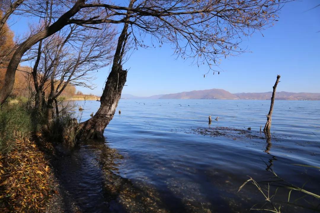环海西路何时开工,环海路开放时间