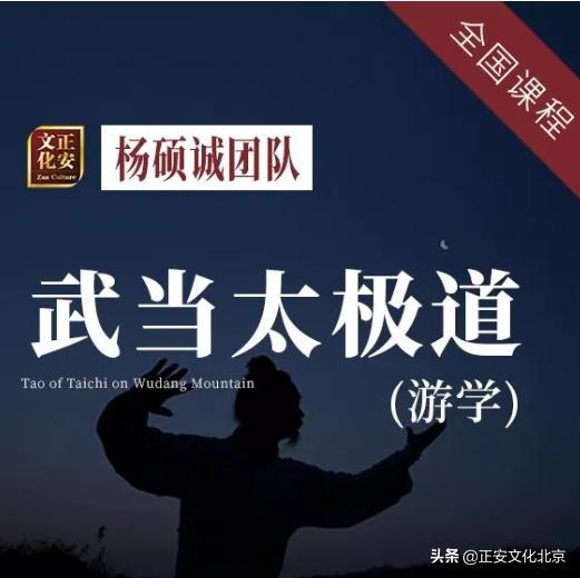 速来围观扫黑除恶漫画,武当太极二十八势陈师行