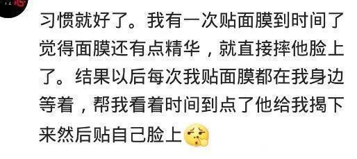 有个智障老公是怎样的体验,有个智障男朋友是种什么体验语音