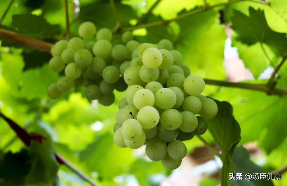 胸部可以摸摸大吗？胸大有奶，胸小没奶？医生终于说了实话