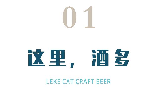 失眠企鹅精酿酒馆中原万达店,精酿酒馆万达金街店