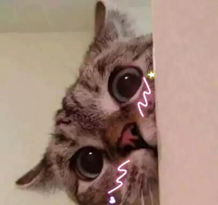 十款零差评水乳套装干敏皮,水乳哪一款好用又平价