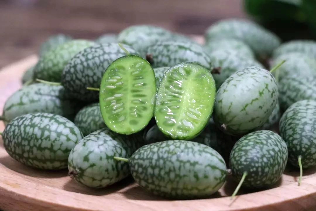 葫芦科蔬菜特点图,葫芦类蔬菜有哪些