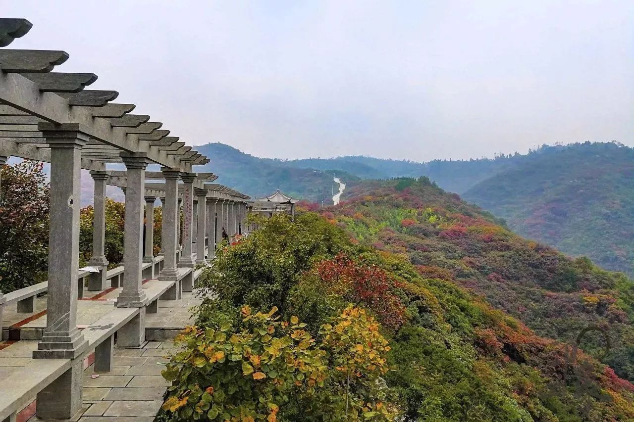 郑州漂亮的秋色风景,郑州的这些湖畔藏着最美的秋色