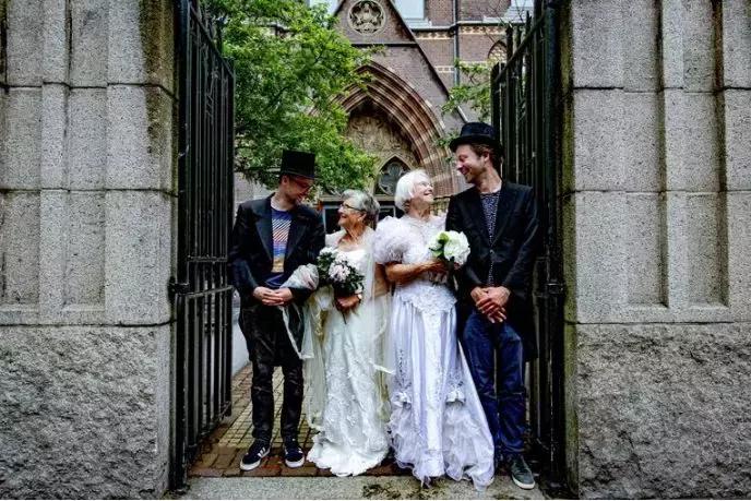 去荷兰旅行结婚,荷兰旅游新玩法视频