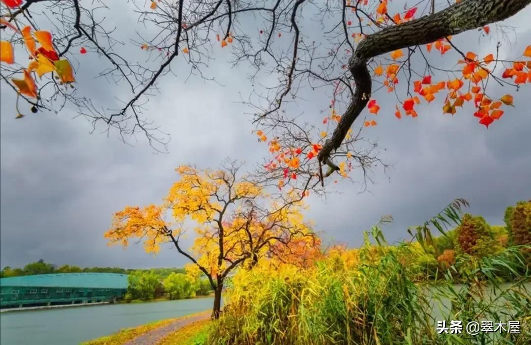 正义终将战胜邪恶对不对,正义终将战胜邪恶原唱