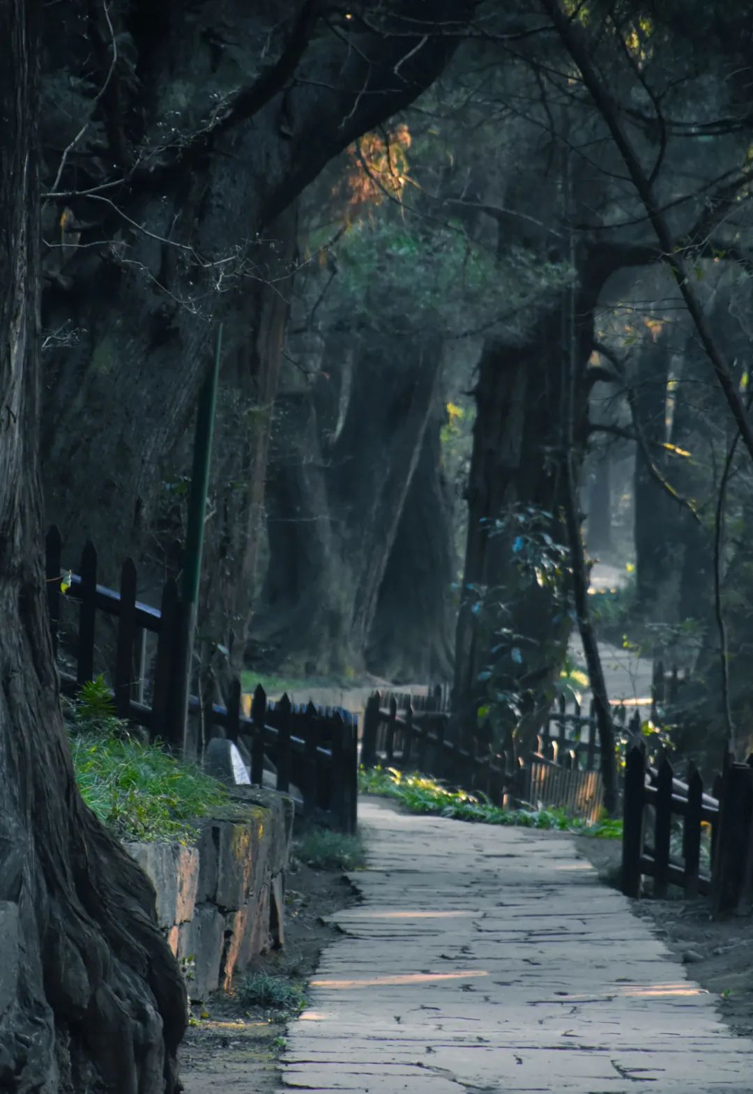 秦始皇张飞,秦始皇冬游