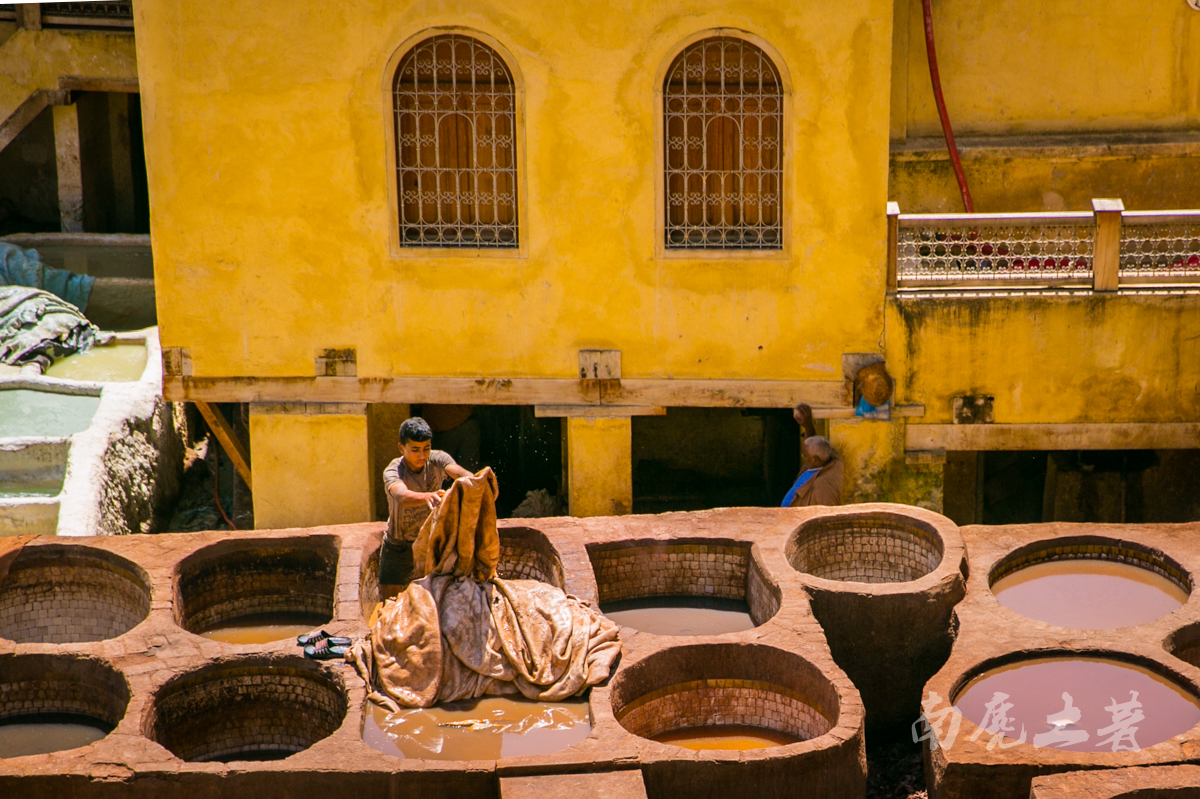 非洲这个城市这么臭,游人却每天排队参观