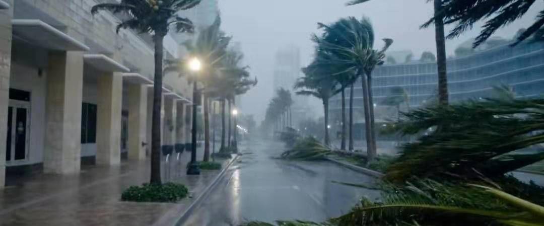 是你们说的全程高潮，但结局我想骂街