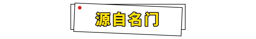 高端轻酪乳风味酸奶,正宗法式经典酸奶