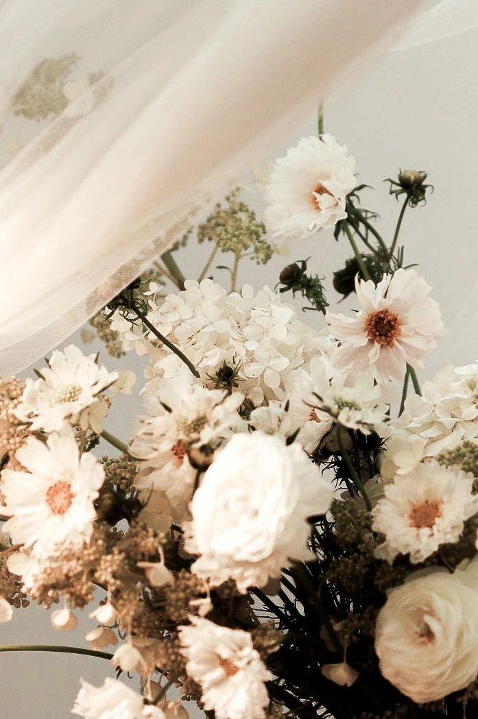 美容养颜护肤产品,美容养颜的新品