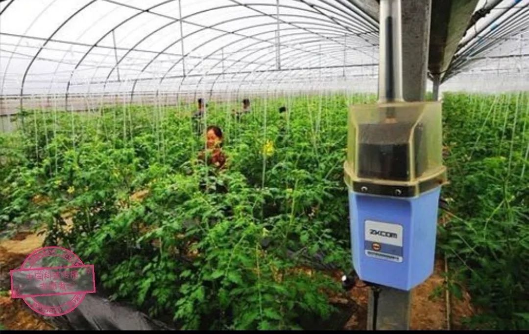 沙漠蝗防控方案,沙漠蝗灾如何防控