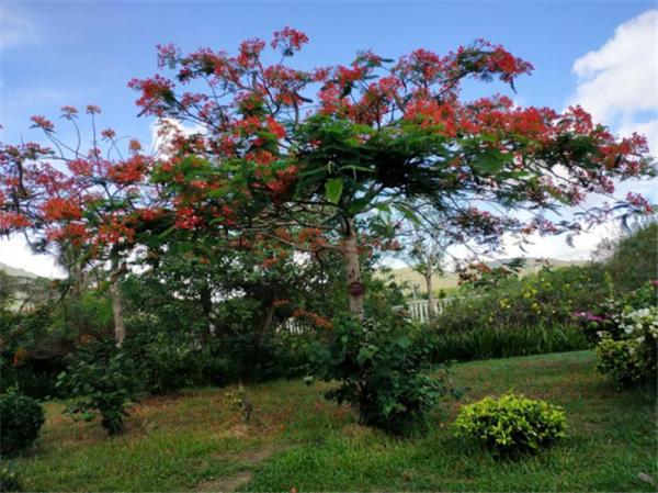 三亚亲子游玩攻略2-3天一晚住宿,三亚亲子游玩攻略二天一晚