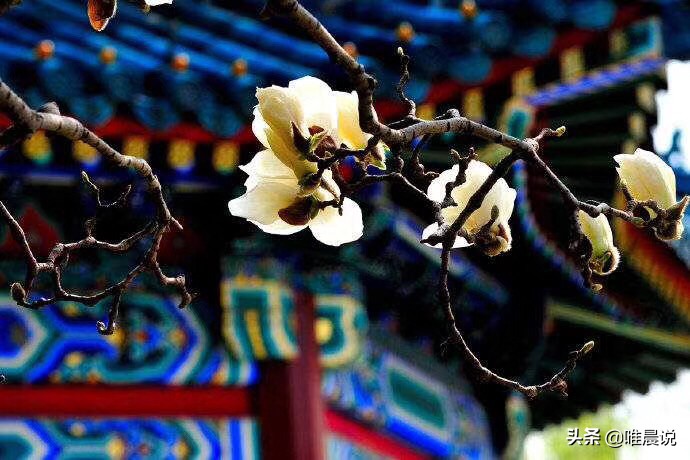 识人术准到吓人的感悟,六条识人术准到你怀疑人生