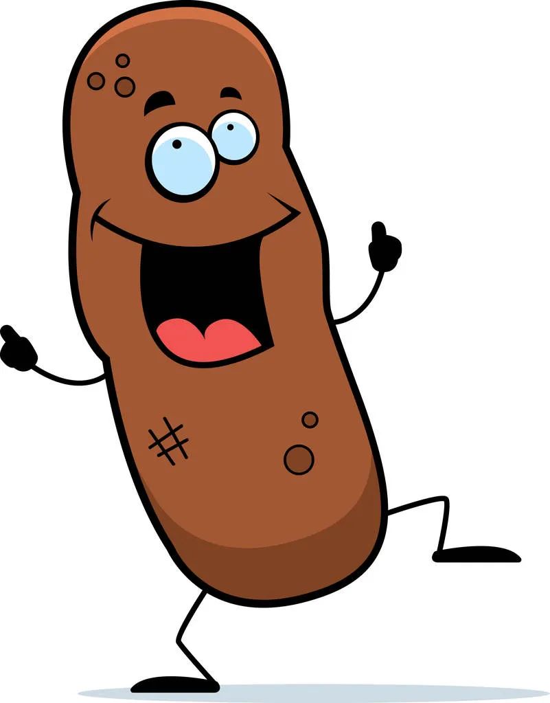 便便的形状看健康,通过便便了解肠道健康