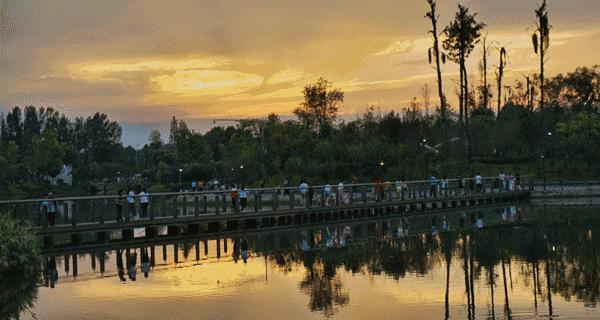 成都双流怎样,你怎么那么绿是什么梗