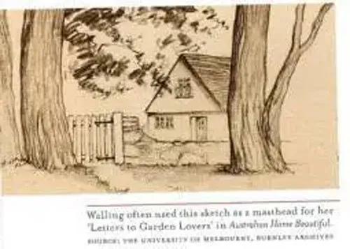 花园设计前沿趋势|14种澳洲庭院花园类型(上篇),全面细致