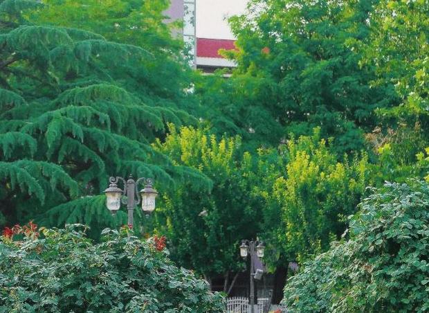 天津莫奈花园油画沙龙,带你去莫奈的画里花园