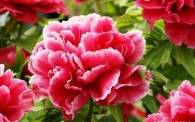 疫情面前，创始人捐款5000万的河南商超是何方神圣？曾两次自杀