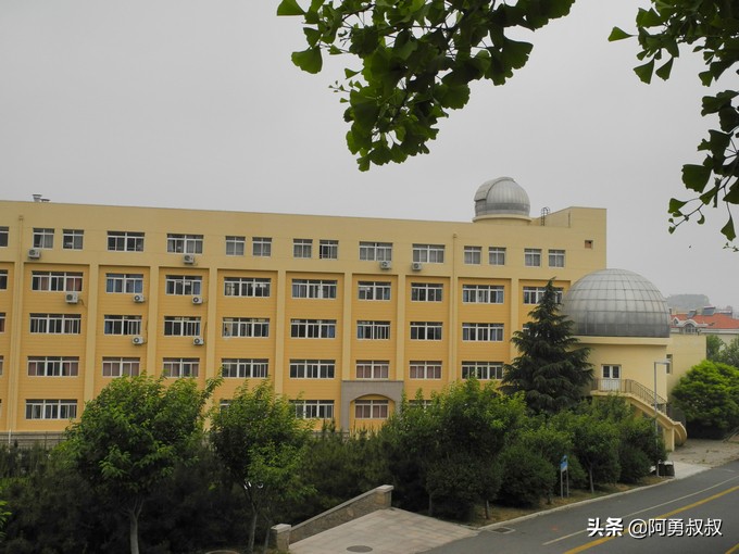 青岛二中2019高考成绩,经验分享大学专业