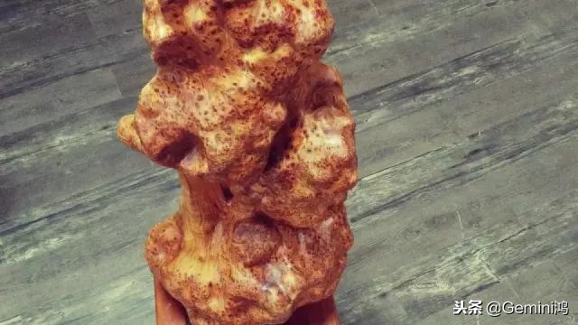 崖柏的正确保护方法,崖柏的十大忌讳