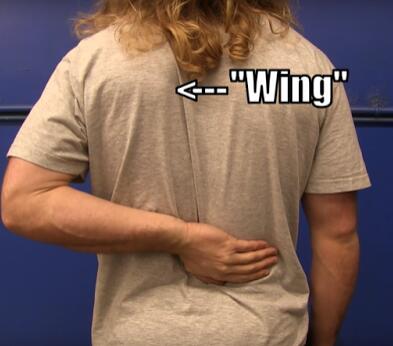 卧推肩膀疼怎么缓解,卧推肩膀疼如何做康复