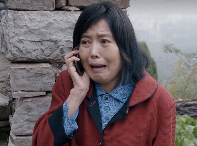 《安家》房似锦年入百万却被亲妈勒索没钱吃饭如何摆脱有毒父母