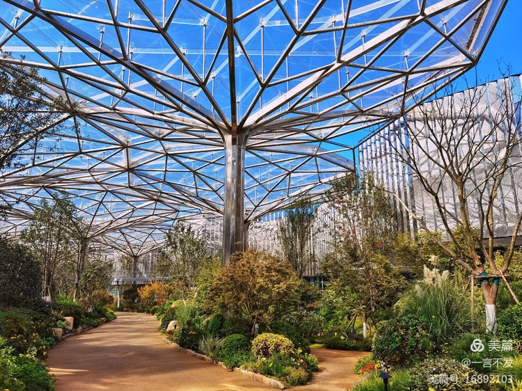 秋之旅免费完整版,秋之旅风景图片