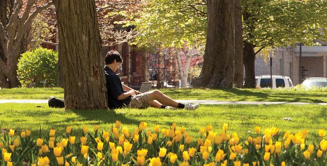 雅思很高分就能去国外名校吗,如何知道自己雅思在几分的水平