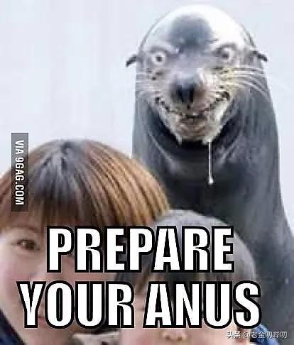 水獭与平头哥是同科吗,水獭动物界的平头哥