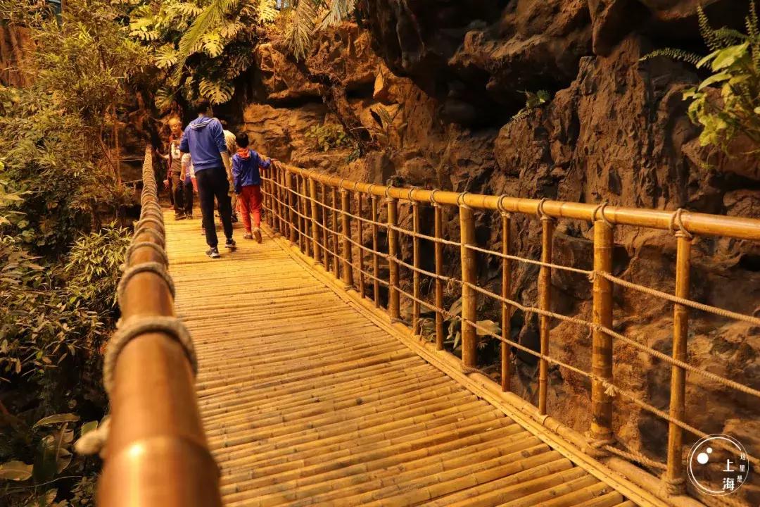 整个上海都是繁华的吗,上海一座美丽的魔都