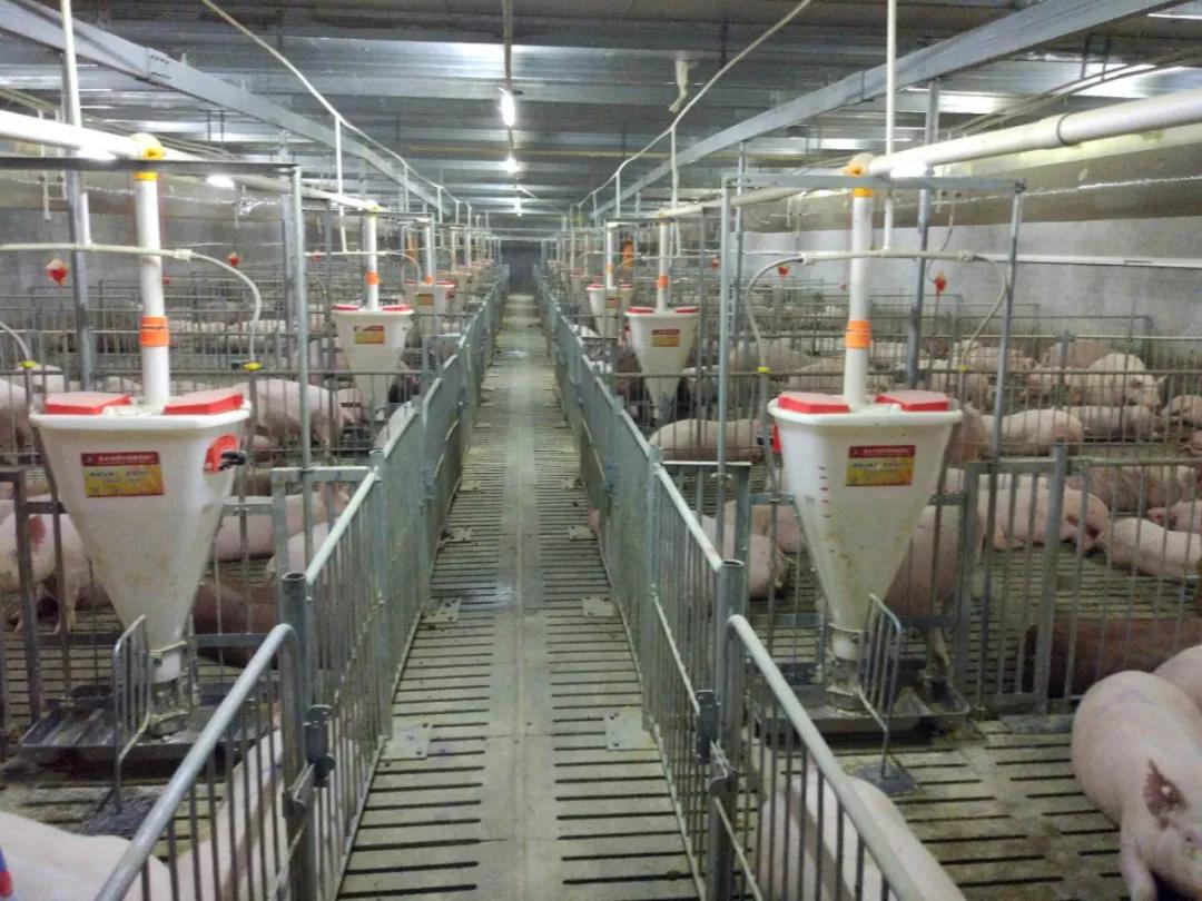 【头条】奈曼旗：“*党**支部+合作社”，集体经济攀新高