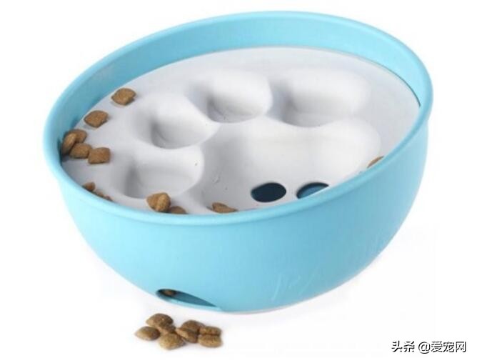 怎么防止狗狗吃东西太快,怎么教狗狗吃手里东西慢点
