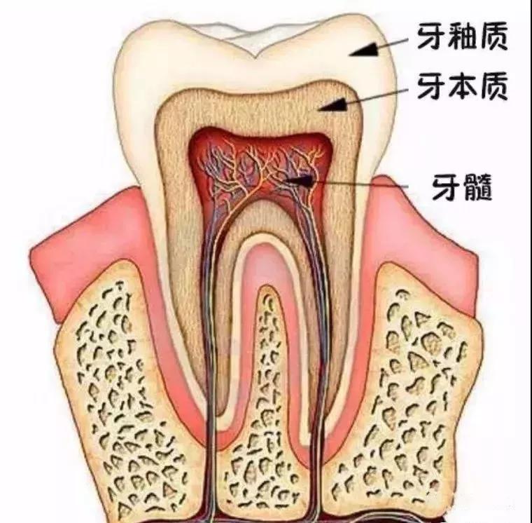 疫情牙疼,疫情管控期间牙疼怎么办