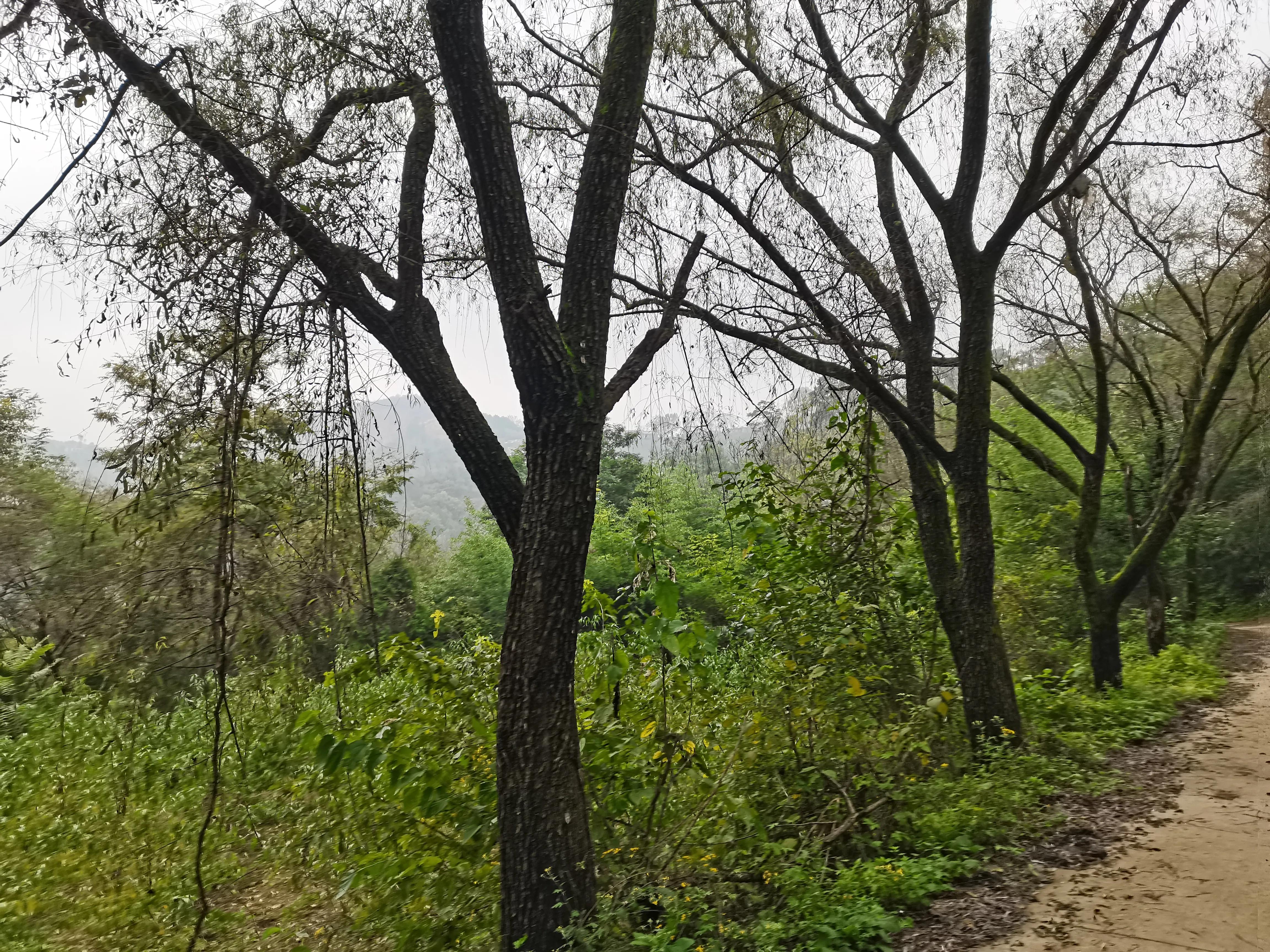 西安洪庆山自驾游路线图,西安洪庆附近旅游景点