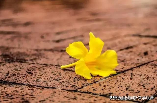 孩子有这4个现象,说明在无效学习