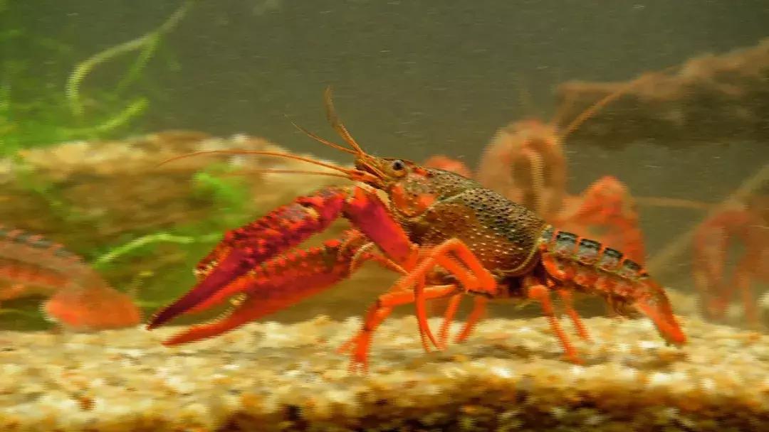 自己跑生意,自己跑业务做什么生意好