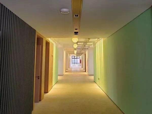 2021上海新学校,上海新大型学校