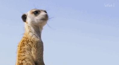 爽啊，一波爆炸！春节假期终于可以彻夜狂欢（上）