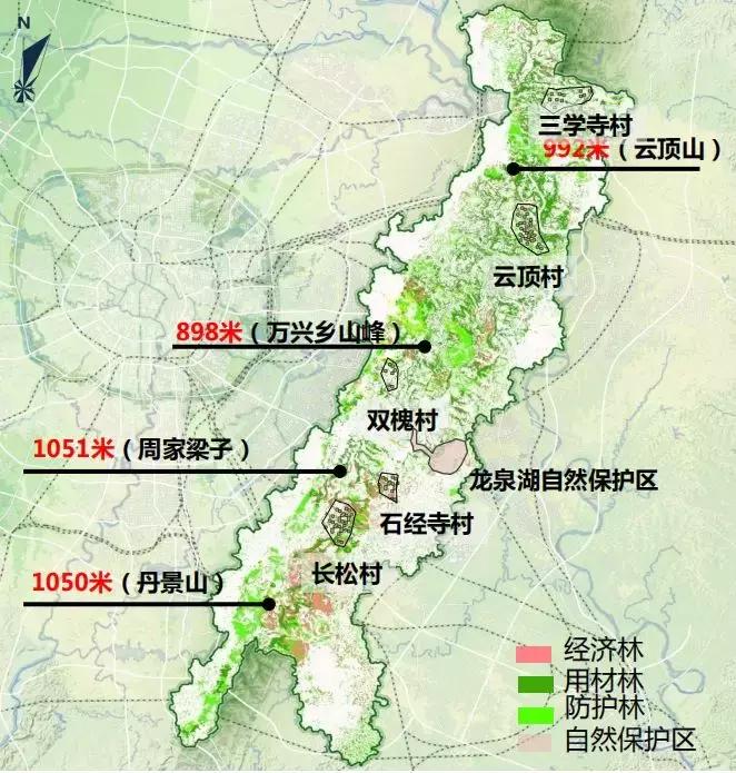 全球最大的城市森林公园,全球最绿色的城市