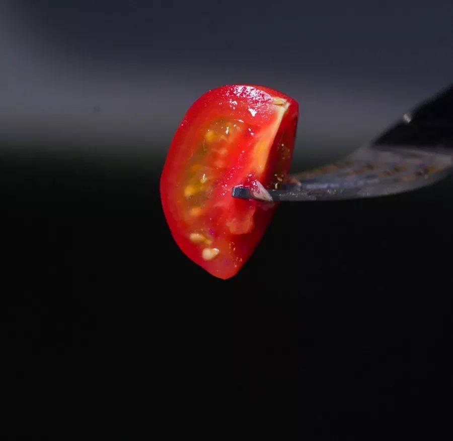 吃在济南｜超大大大号西班牙海鲜饭，海鲜比饭多！不服来战