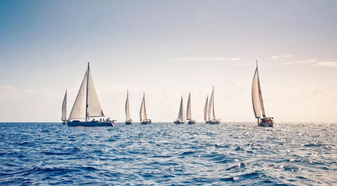 如何找到我们的投资“能力圈”？——格局同学原创