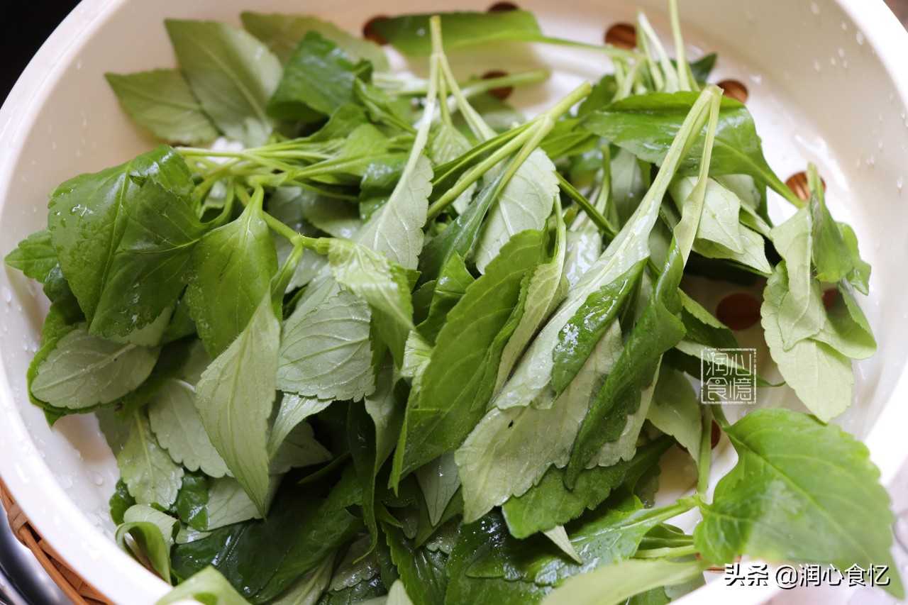 快立夏了,碰见这种时令野菜抓紧吃,营养足鲜又嫩,过阵子就少了