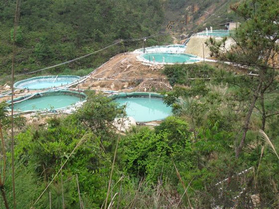 人工塑料夜明珠,人工夜明珠为什么也能发光