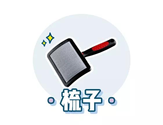 萌新应该养什么便宜宠物狗,萌新怎么入门宠物技能