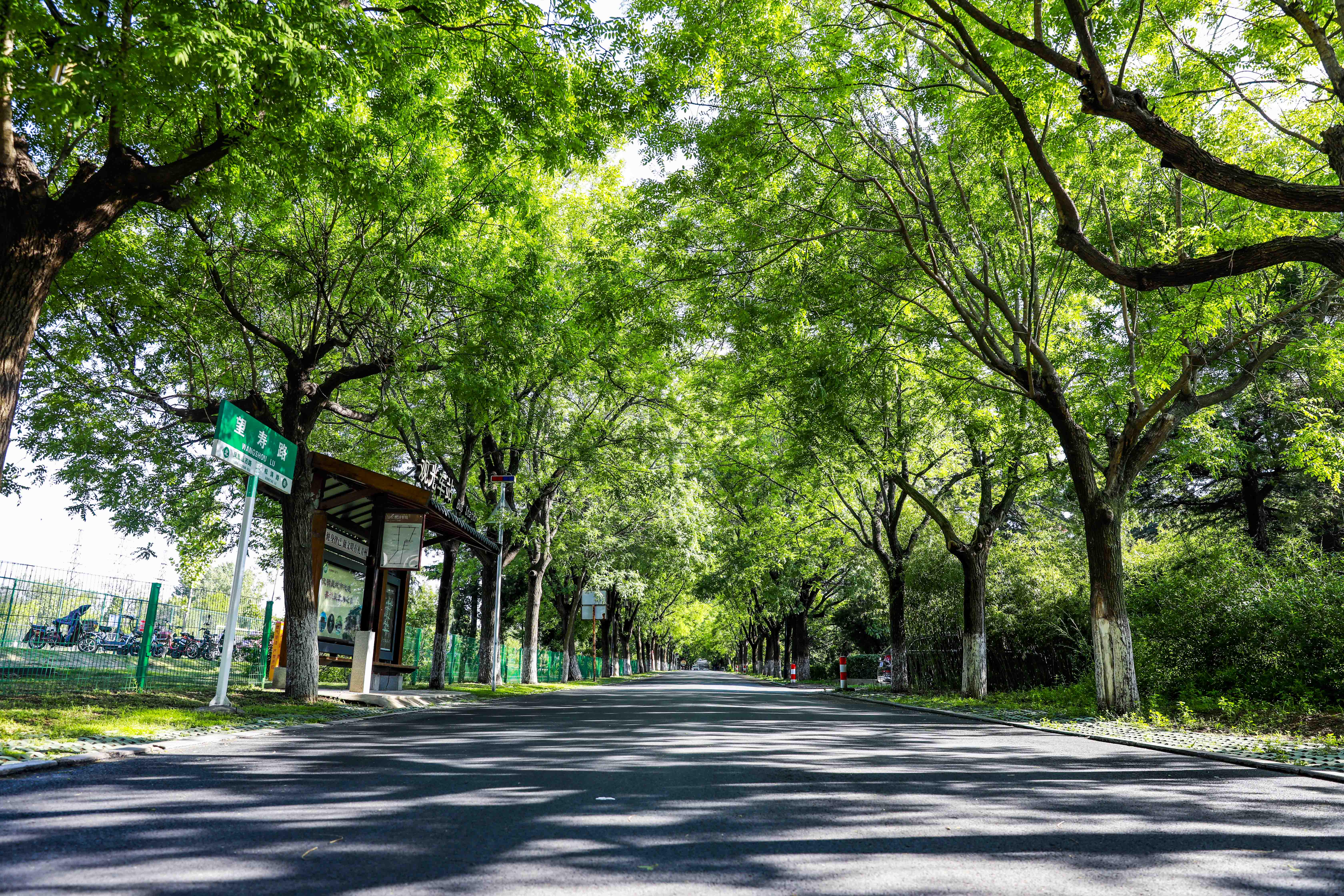 青州夏季一日游的好地方,青州周末旅游攻略