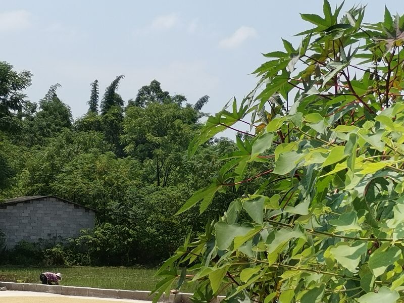 12岁的孩子补一颗牙多少钱,小孩子补一颗牙200元